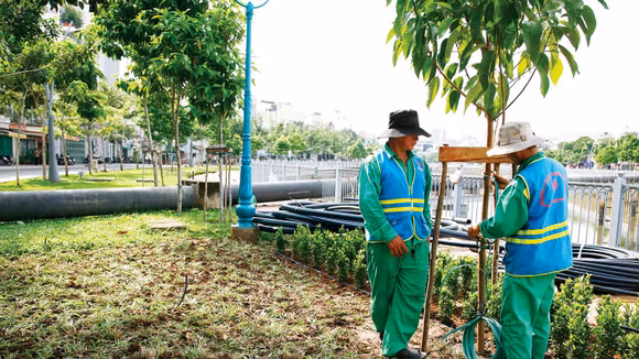 Các gói thầu dịch vụ công ích cần chú trọng năng lực tổ chức cung cấp dịch vụ thay vì yêu cầu nhiều nhân sự chủ chốt hoặc hàng loạt chứng chỉ không gắn trực tiếp với chất lượng dịch vụ. Ảnh: Tiên Giang