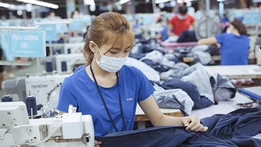 Năm 2025, TNG báo lãi 392 tỷ đồng, tăng 24% so với năm 2024