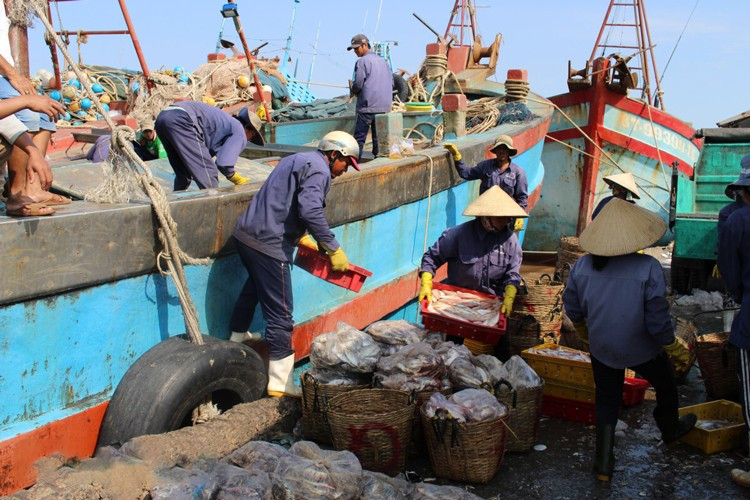 Đấu giá quyền thuê 1.500 m2 mặt bằng cảng cá Bình Đại (tỉnh Vĩnh Long). Ảnh minh hoa: Internet