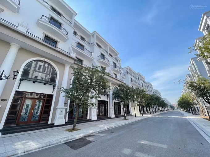 Đấu giá căn nhà hơn 100m2 tại Vinhomes Ocean Park 3. Ảnh minh họa: Internet