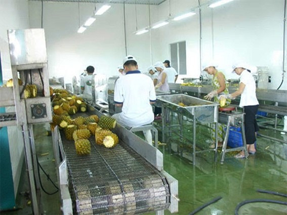 Ảnh chỉ mang tính minh họa. Nguồn Internet