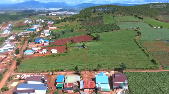 Đấu giá khu đất và công trình rộng hơn 5.500 m2 tại Đơn Dương (Lâm Đồng). Ảnh minh họa: Internet