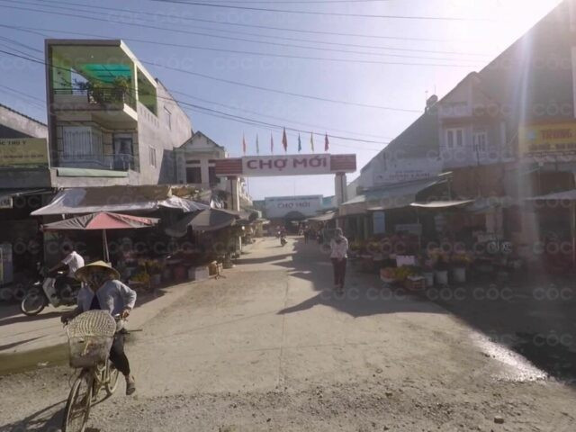 Ảnh minh hoạ: Internet 