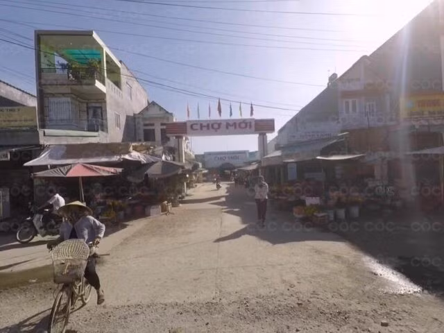 Ảnh minh hoạ: Internet 