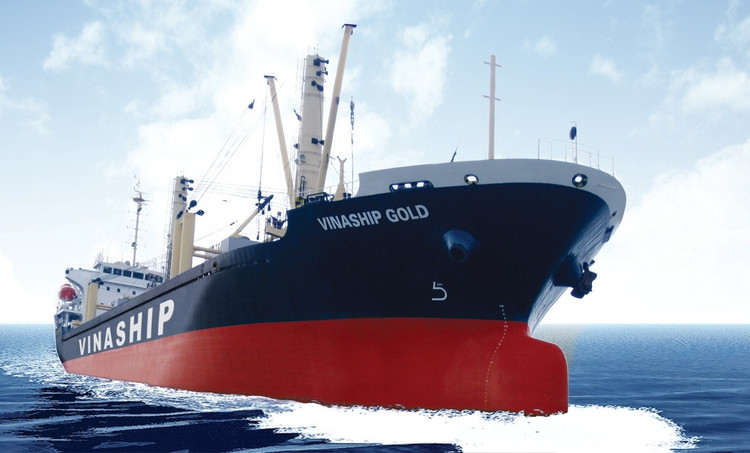 Đấu giá tàu chở hàng khô Vinaship Gold trọng tải hơn 13.000 DWT. Ảnh: Intrenet