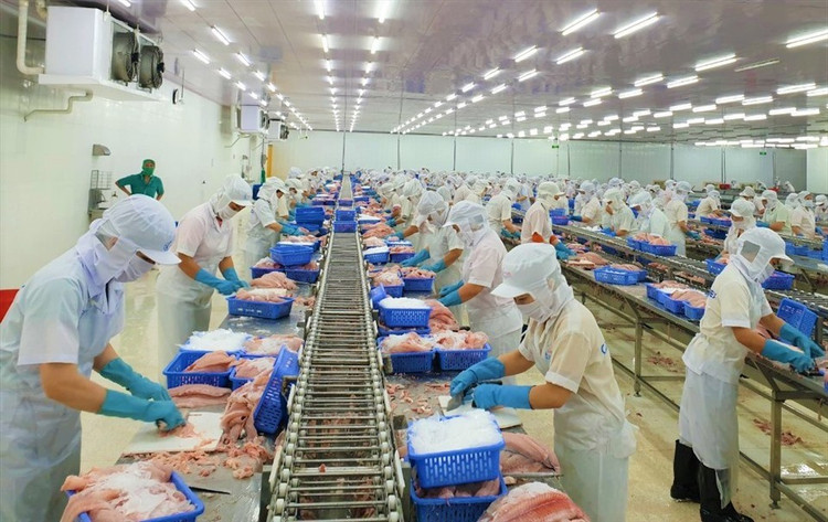 Đấu giá toàn bộ nhà xưởng và hệ thống máy móc của Công ty Ngọc Thái. Ảnh minh họa: Internet