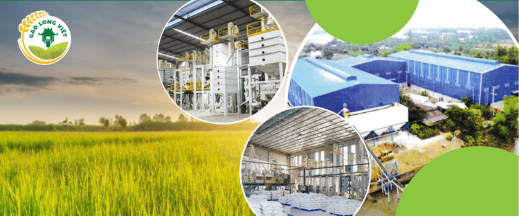 DATC rao bán khoản nợ gần 120 tỷ đồng, tài sản đảm bảo là toàn bộ nhà máy xay xát ở An Giang