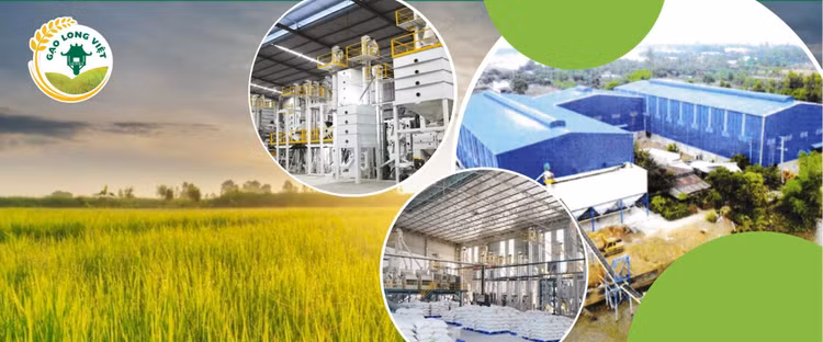 DATC rao bán khoản nợ gần 120 tỷ đồng, tài sản đảm bảo là toàn bộ nhà máy xay xát ở An Giang