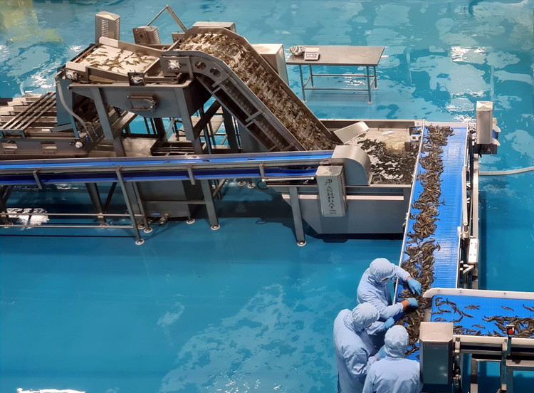 Đấu giá nhà xưởng và dây chuyền sản xuất thức ăn thủy sản Mekong Aqua với giá từ 13,7 tỷ đồng