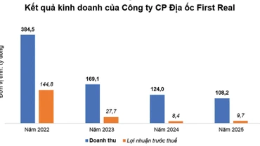 Nguồn: Báo cáo tài chính của Công ty CP Địa ốc First Real