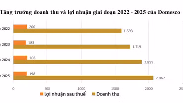 Đơn vị tính: tỷ đồng. Nguồn: DMC