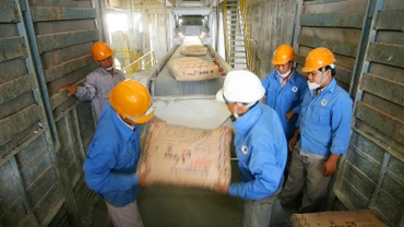 Tiêu thụ xi măng đạt gần 54,56 triệu tấn trong 6 tháng đầu năm 2025, tăng 27% so với cùng kỳ năm trước. Ảnh: Song Lê
