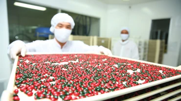 Nhiều doanh nghiệp dược đánh giá, năm 2026 sẽ là giai đoạn tăng trưởng cao và mang tính chọn lọc. Ảnh: Tiên Giang