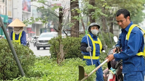 Nhiều gói thầu chăm sóc cây xanh tại Đồng Nai đang được mời thầu. Ảnh minh họa: Nhã Chi