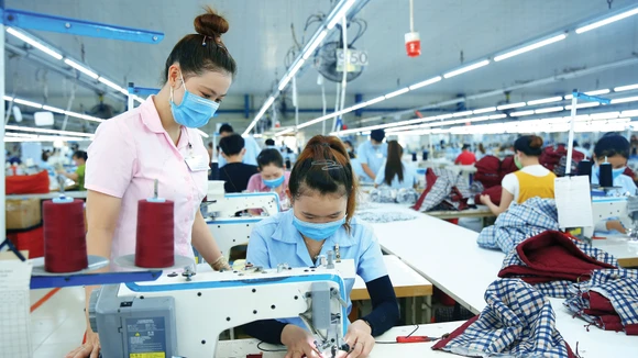 Trong tháng 1/2026, có 48.696 doanh nghiệp gia nhập và tái gia nhập thị trường, tăng 45,59% so với cùng kỳ năm 2025. Ảnh: Tiên Giang