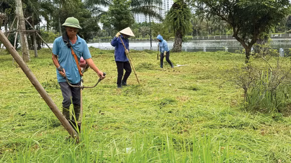 Dịch vụ công ích là các công việc mang tính lặp lại theo chu kỳ, kỹ thuật thực hiện tương đối đơn giản. Ảnh: Tiến Giang