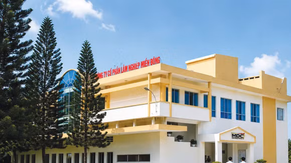 Tổng giá trị thương vụ thoái vốn của Vinafor tại Công ty CP Lâm nghiệp Miền Đông là hơn 56 tỷ đồng. Ảnh: M.Đ
