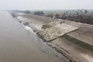 Ảnh minh họa: Internet