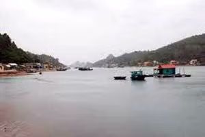 Ảnh minh hoạ: Internet