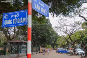 Ảnh minh họa: Internet