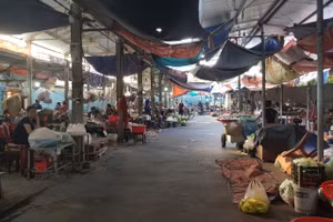Ảnh minh họa: Internet