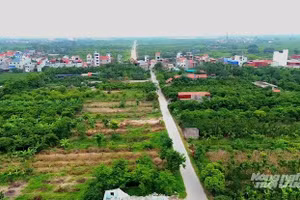 Ảnh minh họa: Internet