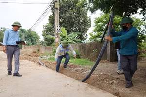 Ảnh minh họa: Internet