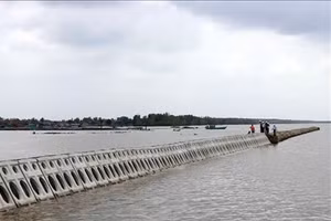 Ảnh minh họa: Internet