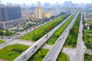 Ảnh minh hoạ: Internet