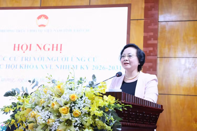 Bí thư Trung ương Đảng, Phó Thủ tướng Chính phủ Phạm Thị Thanh Trà phát biểu tại Hội nghị tiếp xúc cử tri với người ứng cử đại biểu Quốc hội khóa XVI - Ảnh: VGP/Thu Giang