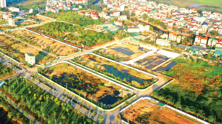 Trúng đấu giá, hoàn thành nghĩa vụ tài chính và được cấp sổ đỏ - quy trình tưởng chừng chặt chẽ này lại đang xảy ra những sai sót ở nhiều tỉnh thành. Ảnh Minh Họa: Lê Tiên