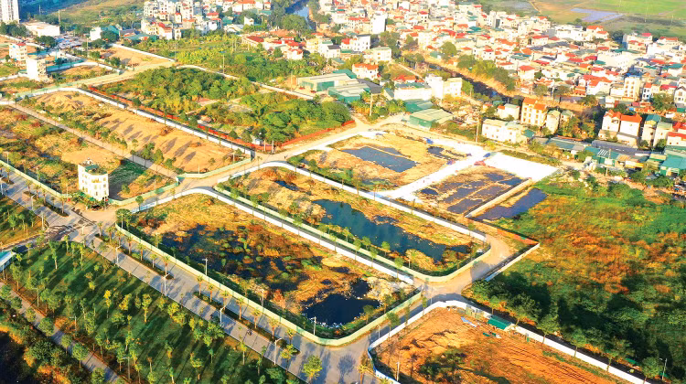 Trúng đấu giá, hoàn thành nghĩa vụ tài chính và được cấp sổ đỏ - quy trình tưởng chừng chặt chẽ này lại đang xảy ra những sai sót ở nhiều tỉnh thành. Ảnh Minh Họa: Lê Tiên