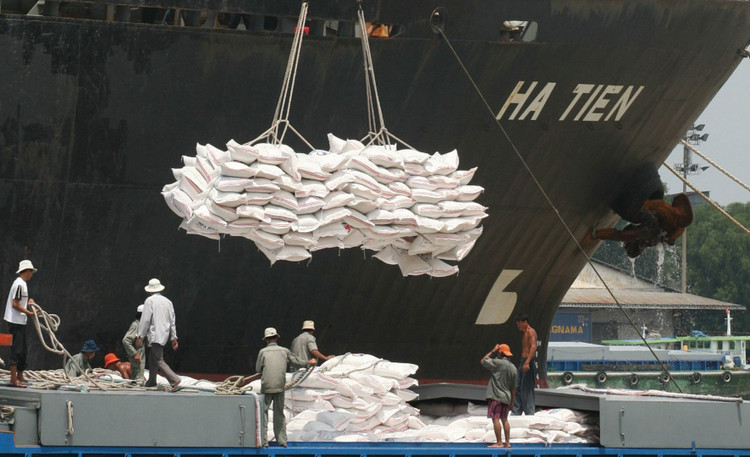 Hoạt động xuất khẩu gạo được đề xuất loại khỏi Danh mục Ngành, nghề đầu tư kinh doanh có điều kiện tại Dự thảo Luật Đầu tư kinh doanh (thay thế Luật Đầu tư). Ảnh: Song Lê