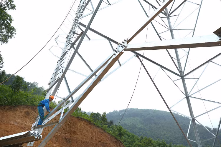 Ba gói thầu cung cấp và vận chuyển cột thép cho Dự án Đường dây 500 kV Hải Phòng - Thái Bình có tổng giá trị hơn 261 tỷ đồng. Ảnh minh họa: Tiên Giang