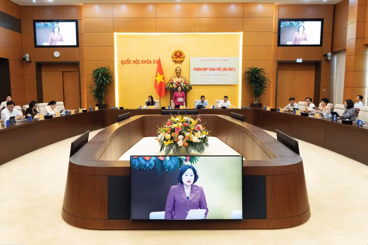 Phó Chủ tịch Quốc hội Nguyễn Thị Hồng phát biểu chỉ đạo tại phiên họp cho ý kiến một số dự án luật, dự thảo nghị quyết dự kiến trình Quốc hội tại kỳ họp vào tháng 8/2026. Ảnh: Phạm Thắng