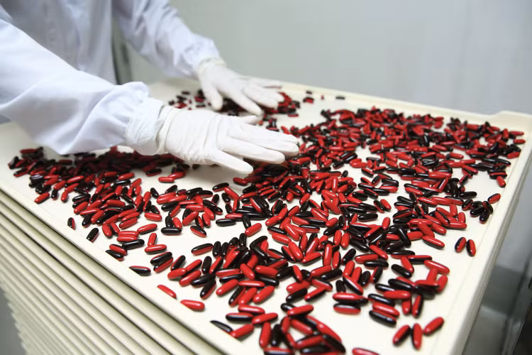 Hiện nay, việc quản lý rủi ro sau khi trúng thầu chủ yếu dựa trên việc lấy mẫu thuốc, dược liệu để kiểm nghiệm ngẫu nhiên. Ảnh: Tiên Giang