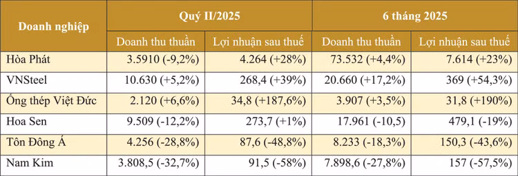 Kết quả kinh doanh của một số doanh nghiệp tôn thép. Nguồn: Báo cáo tài chính hợp nhất của doanh nghiệp - Đơn vị tính: tỷ đồng