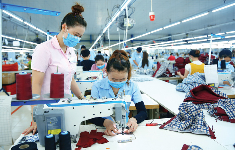 Trong tháng 1/2026, có 48.696 doanh nghiệp gia nhập và tái gia nhập thị trường, tăng 45,59% so với cùng kỳ năm 2025. Ảnh: Tiên Giang