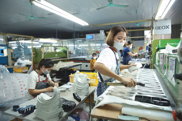 Đề xuất sửa đổi các luật thuế hướng tới việc tạo điều kiện thuận lợi và giảm áp lực thuế cho doanh nghiệp, hộ kinh doanh và cá nhân. Ảnh: Tiên Giang