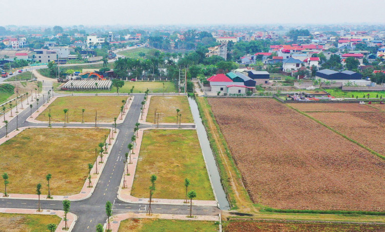 Có ý kiến đề xuất bổ sung quy định về khoản tiền đặt cọc sau khi trúng đấu giá là khoản tiền đặt trước và số tiền phải nộp thêm để đảm bảo tiền đặt cọc bằng 20 - 50% giá trúng đấu giá. Ảnh: Tiên Giang