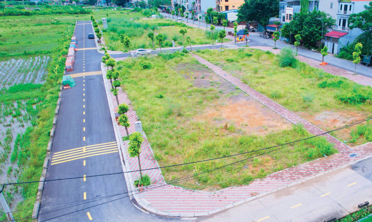 57 thửa đất tại khu vực Đầm, thôn Mục Xá, xã Cao Dương, huyện Thanh Oai (cũ), TP. Hà Nội từng được thông báo đấu giá năm 2024. Ảnh minh họa: Hồng Khanh