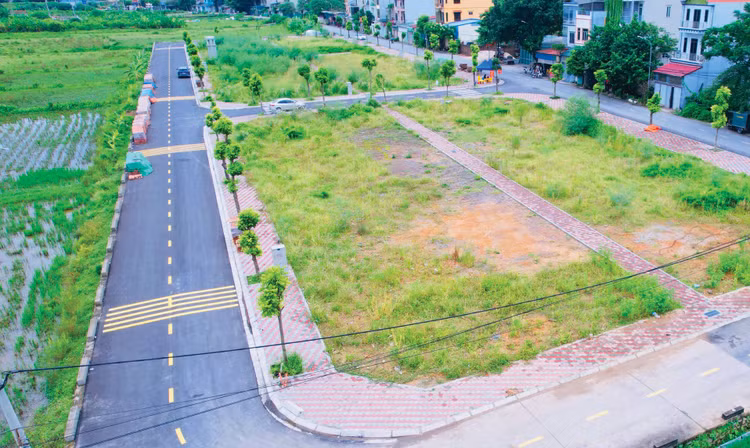 57 thửa đất tại khu vực Đầm, thôn Mục Xá, xã Cao Dương, huyện Thanh Oai (cũ), TP. Hà Nội từng được thông báo đấu giá năm 2024. Ảnh minh họa: Hồng Khanh