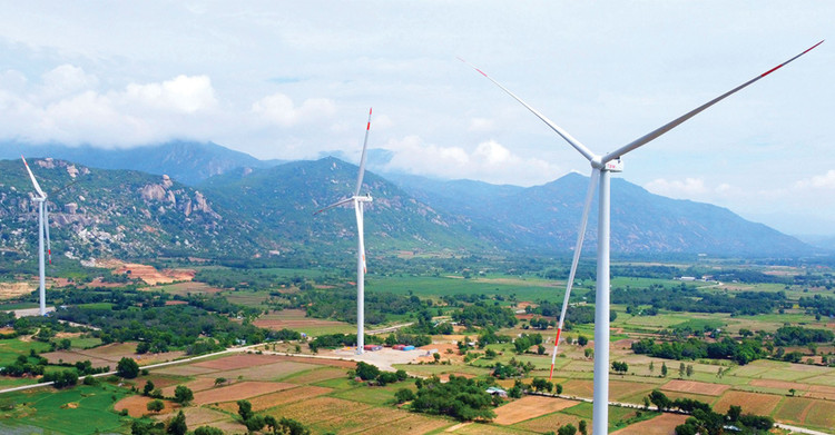 Sở Công Thương Quảng Trị đang lựa chọn nhà đầu tư thực hiện nhiều dự án điện gió. Ảnh: Nhã Chi