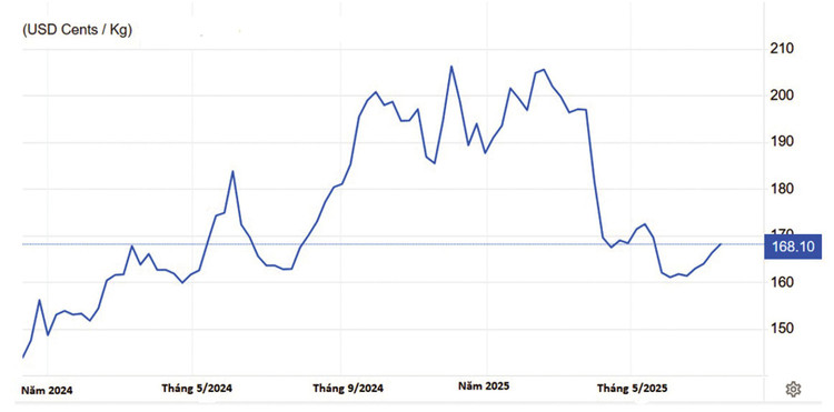 Giá cao su thiên nhiên giao kỳ hạn trên Sở Giao dịch hàng hóa Tokyo (Nguồn: https://tradingeconomics.com/commodity/rubber)