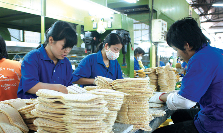 Tính đến cuối năm 2024, tổng tài sản của Giầy Thượng Đình là 120,3 tỷ đồng, trong đó nợ phải trả là 94 tỷ đồng. Ảnh: Tiên Giang