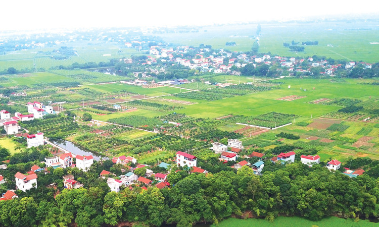 Bộ Tài chính đề xuất quy định và hướng dẫn về việc kéo dài thời hạn miễn thuế sử dụng đất nông nghiệp đến hết ngày 31/12/2030. Ảnh: Lê Tiên