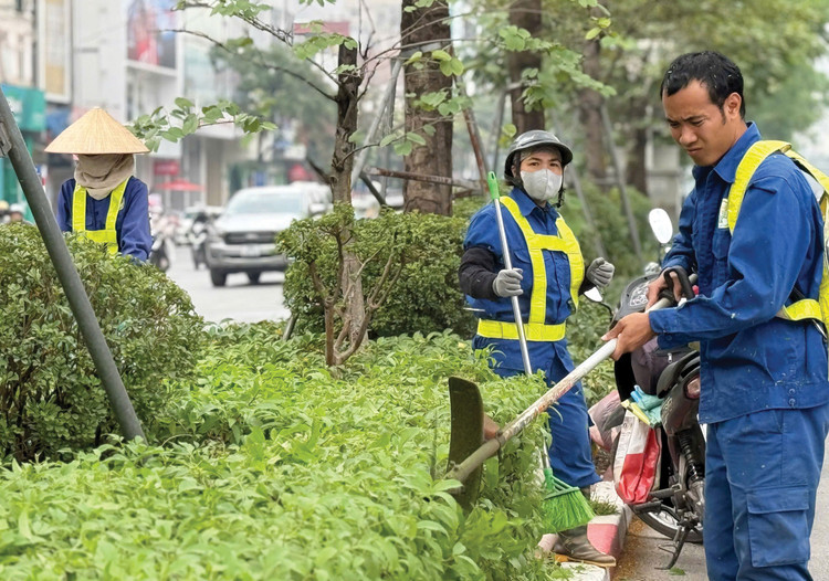 Nhiều gói thầu chăm sóc cây xanh tại Đồng Nai đang được mời thầu. Ảnh minh họa: Nhã Chi