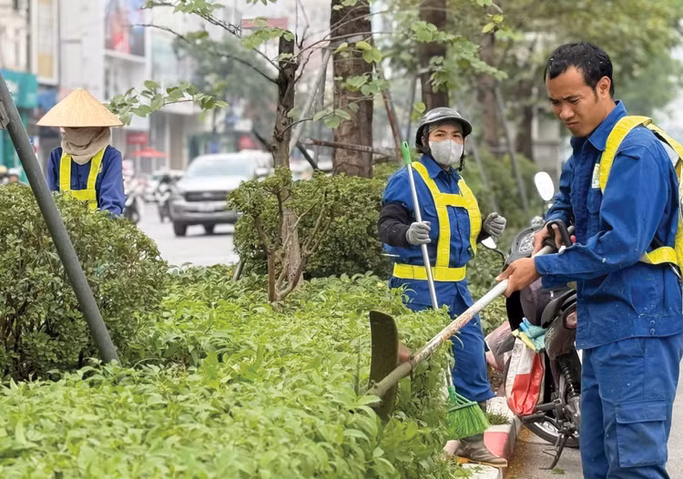 Nhiều gói thầu chăm sóc cây xanh tại Đồng Nai đang được mời thầu. Ảnh minh họa: Nhã Chi