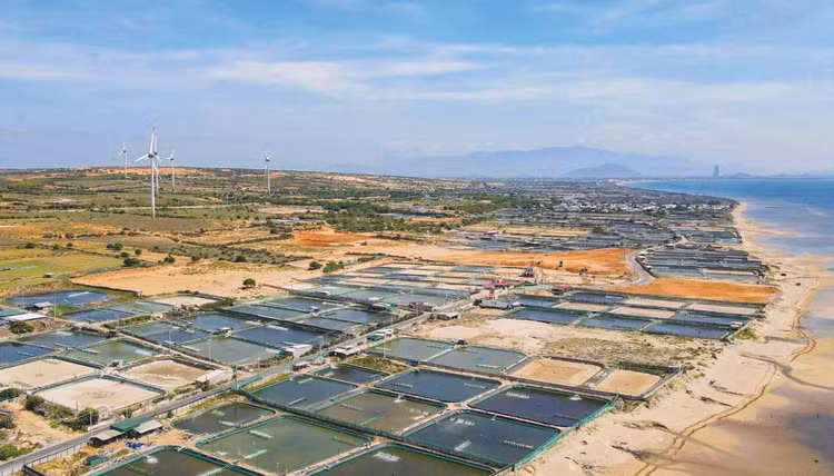 Dự kiến kinh phí bồi thường, giải phóng mặt bằng tại Dự án Nhà máy Điện hạt nhân Ninh Thuận 1 là hơn 5.280 tỷ đồng. Ảnh: Huỳnh Hải