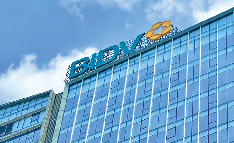 Yêu cầu về kinh nghiệm thực hiện hợp đồng tương tự tại hồ sơ mời thầu ấn định giá trị từng hạng mục chi tiết. Ảnh minh họa: NC st